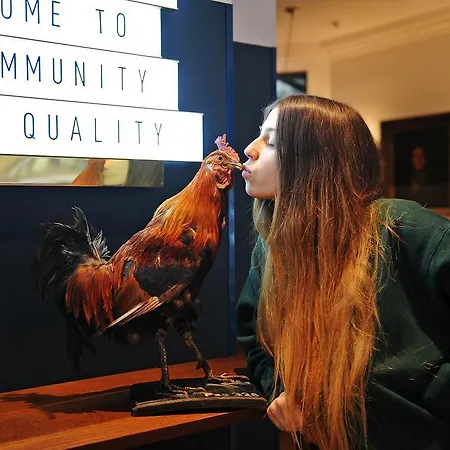 Coq Hotel